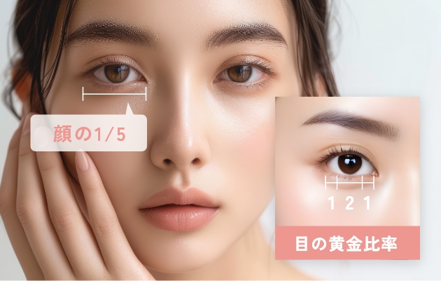左右対称のバランスをご提案