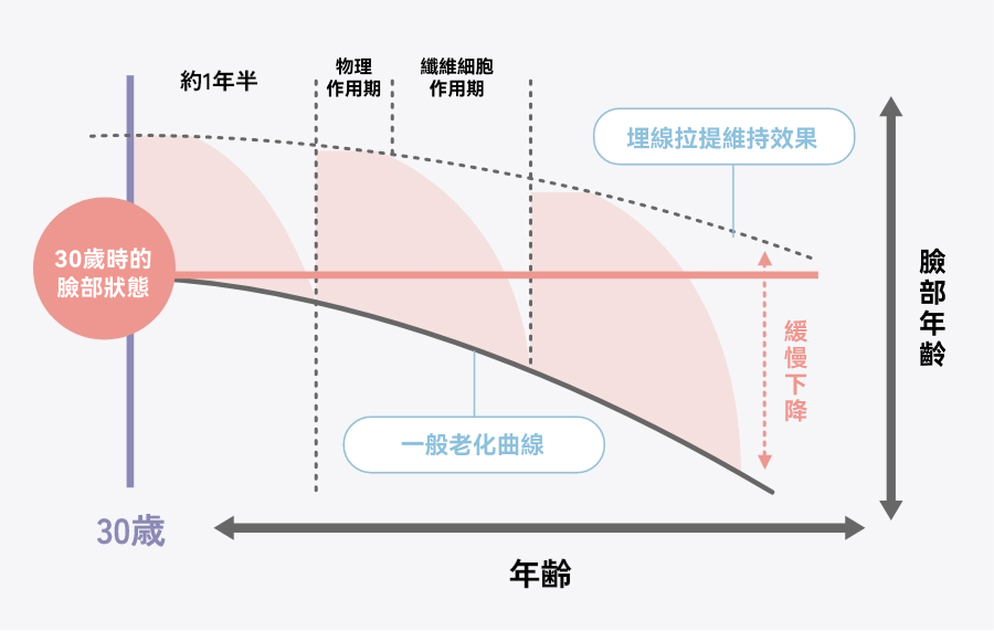 維持期間及效果