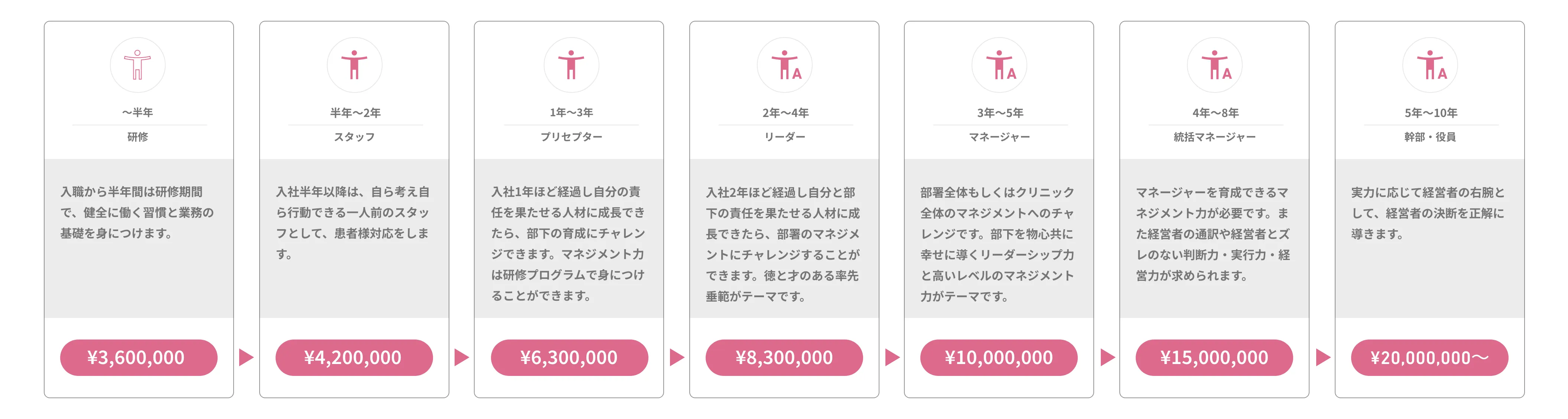 キャリアステップとモデル年収詳細